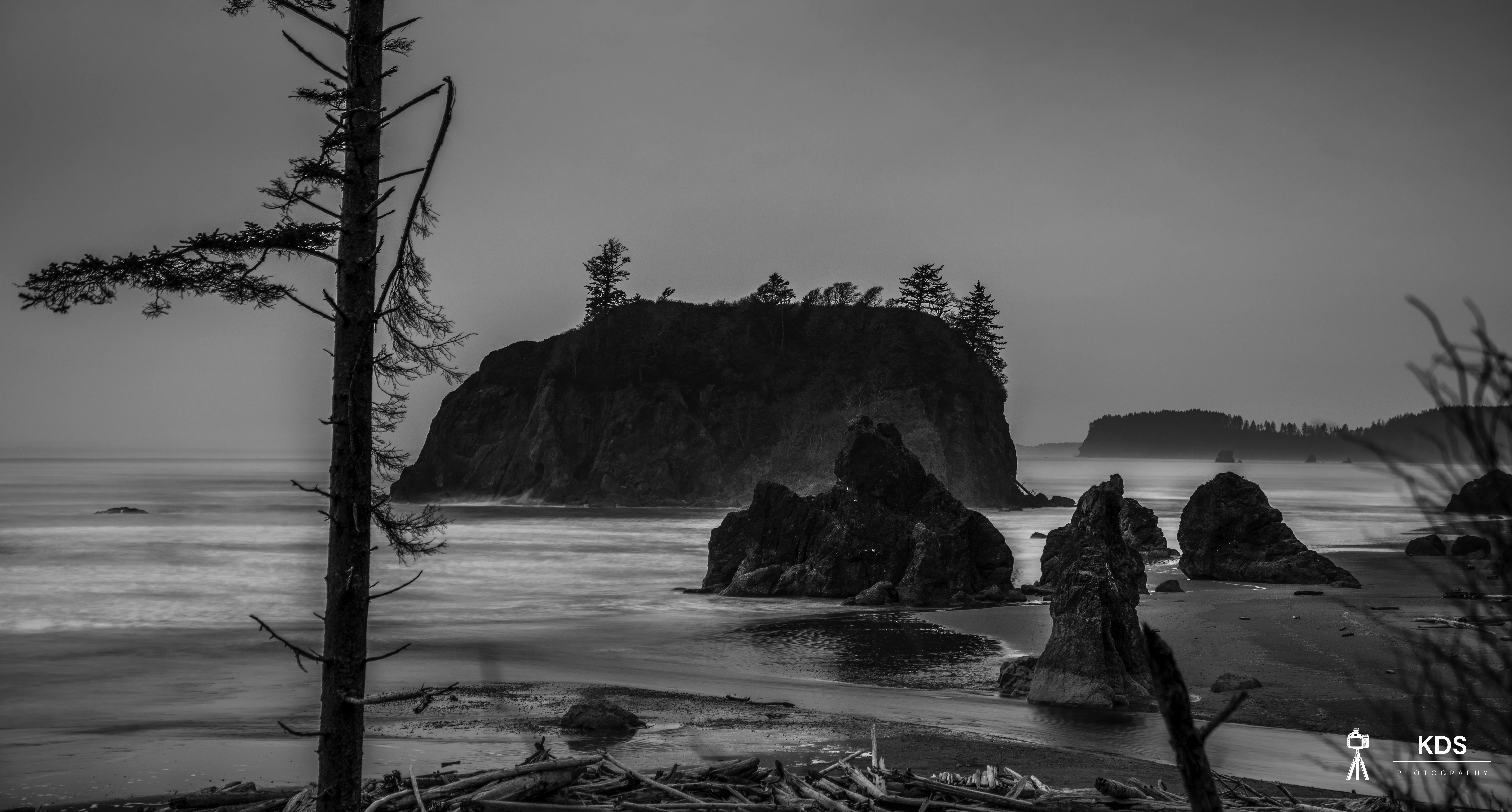Ruby Beach B&W-2